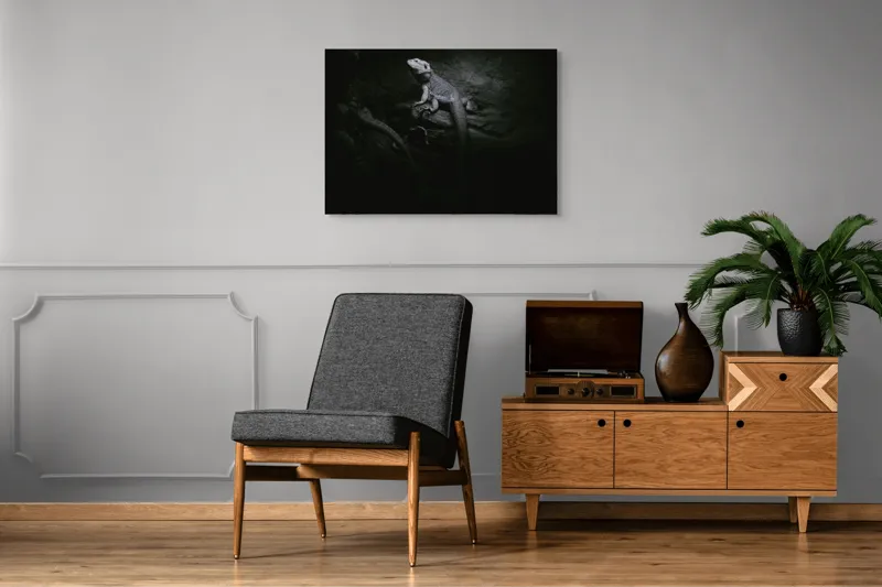Tablou Canvas, "Șopârle în întunericul nocturn liniștit", Întuneric, Șopârlă, Stâncă, Textură, Mister, Reflexie, 100 x 70 cm – poza 8