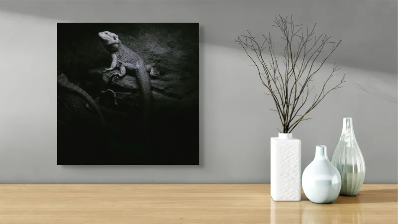 Tablou Canvas, "Șopârle în întunericul nocturn liniștit", Întuneric, Șopârlă, Stâncă, Textură, Mister, Reflexie, 50 x 50 cm – poza 3