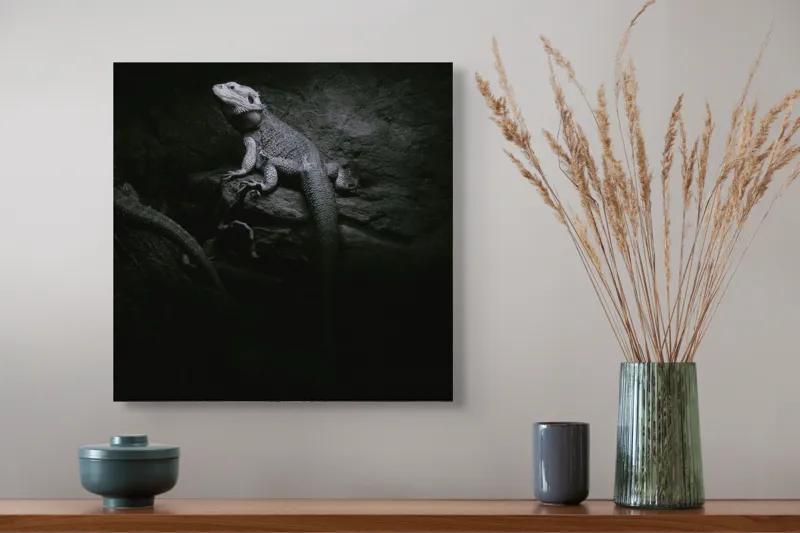 Tablou Canvas, "Șopârle în întunericul nocturn liniștit", Întuneric, Șopârlă, Stâncă, Textură, Mister, Reflexie, 50 x 50 cm – poza 4