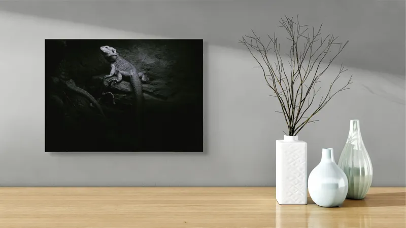 Tablou Canvas, "Șopârle în întunericul nocturn liniștit", Întuneric, Șopârlă, Stâncă, Textură, Mister, Reflexie, 54 x 39 cm – poza 3