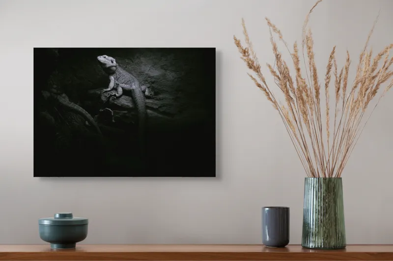 Tablou Canvas, "Șopârle în întunericul nocturn liniștit", Întuneric, Șopârlă, Stâncă, Textură, Mister, Reflexie, 54 x 39 cm – poza 4