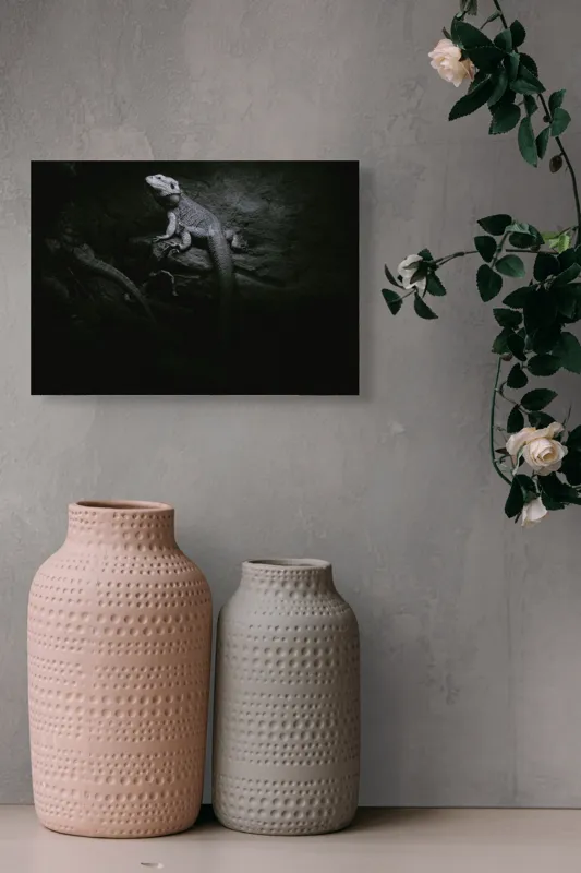 Tablou Canvas, "Șopârle în întunericul nocturn liniștit", Întuneric, Șopârlă, Stâncă, Textură, Mister, Reflexie, 54 x 39 cm – poza 8
