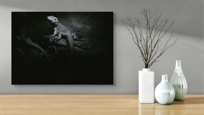Tablou Canvas, "Șopârle în întunericul nocturn liniștit", Întuneric, Șopârlă, Stâncă, Textură, Mister, Reflexie, 70 x 50 cm – poza 3