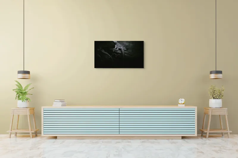 Tablou Canvas, "Șopârle în întunericul nocturn liniștit", Întuneric, Șopârlă, Stâncă, Textură, Mister, Reflexie, 90 x 50 cm – poza 5
