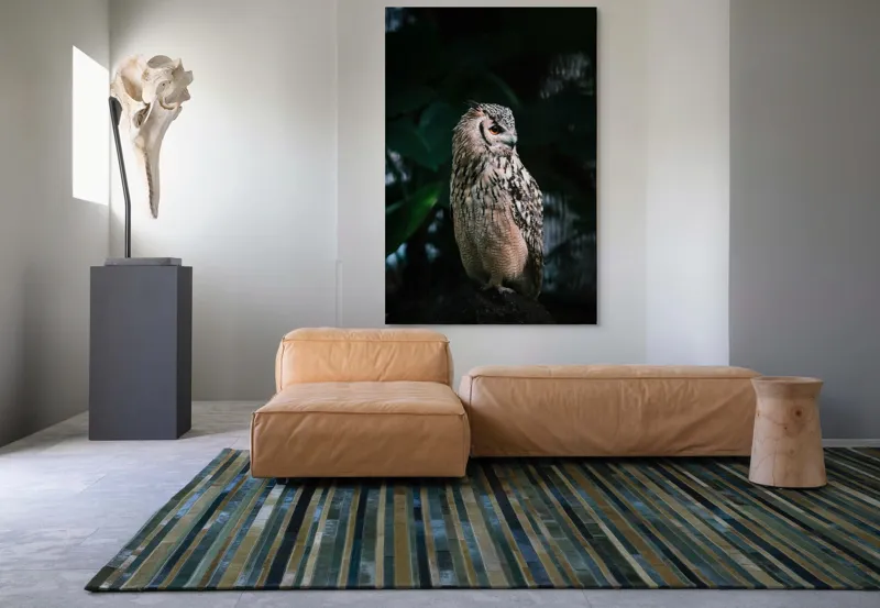 Tablou Canvas, "Bufnița în lumina amurgului pădurii", Bufniță, Penaj, Noapte, Pene, Ochii, Privește, Mister, Natură, Pădure, Răpitor, Silentiozitate, 100 x 150 cm – poza 7