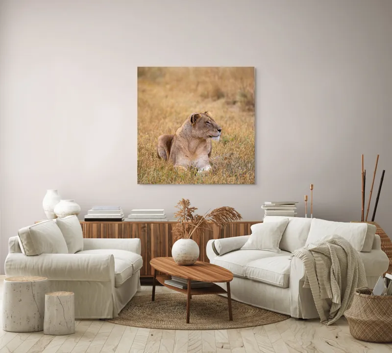 Tablou Canvas, "Leoaica odihnindu-se în savana africană", Leoaică, Relaxează, Savana, Vegetație, Calmă, Regală, Pânditoare, Serenitate, Natură, 100 x 100 cm – poza 3