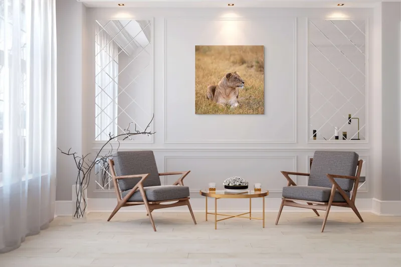 Tablou Canvas, "Leoaica odihnindu-se în savana africană", Leoaică, Relaxează, Savana, Vegetație, Calmă, Regală, Pânditoare, Serenitate, Natură, 100 x 100 cm – poza 7