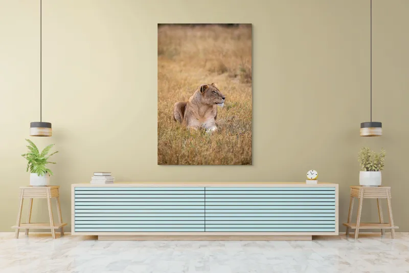 Tablou Canvas, "Leoaica odihnindu-se în savana africană", Leoaică, Relaxează, Savana, Vegetație, Calmă, Regală, Pânditoare, Serenitate, Natură, 100 x 150 cm – poza 4