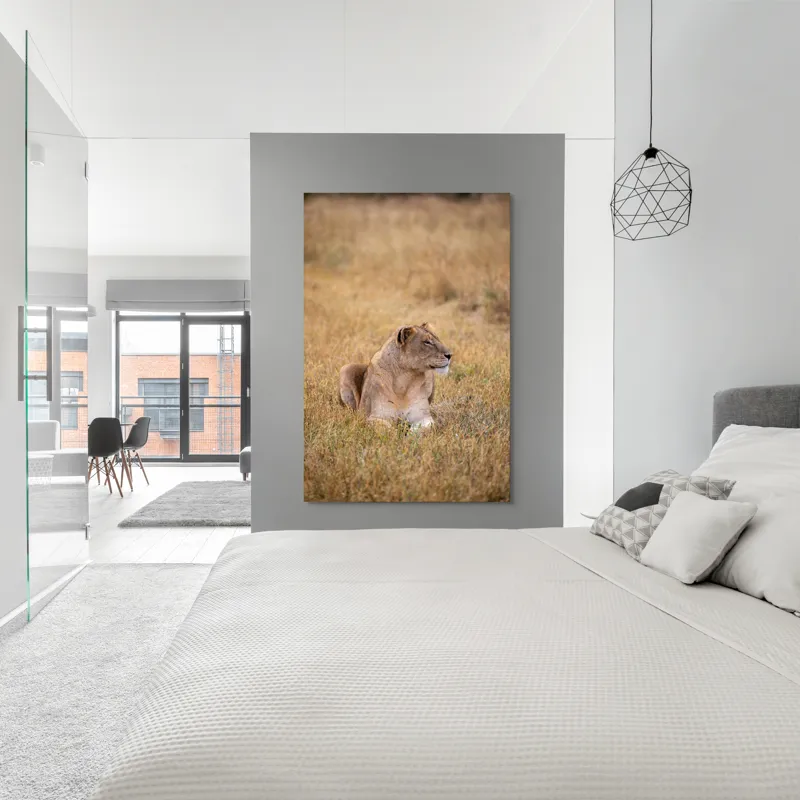 Tablou Canvas, "Leoaica odihnindu-se în savana africană", Leoaică, Relaxează, Savana, Vegetație, Calmă, Regală, Pânditoare, Serenitate, Natură, 100 x 150 cm – poza 5