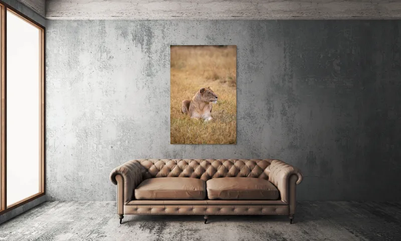 Tablou Canvas, "Leoaica odihnindu-se în savana africană", Leoaică, Relaxează, Savana, Vegetație, Calmă, Regală, Pânditoare, Serenitate, Natură, 100 x 150 cm – poza 6