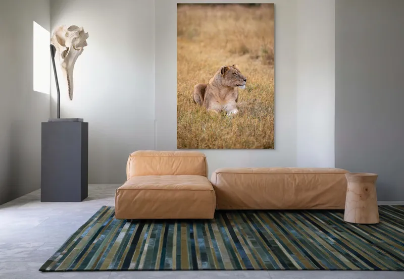 Tablou Canvas, "Leoaica odihnindu-se în savana africană", Leoaică, Relaxează, Savana, Vegetație, Calmă, Regală, Pânditoare, Serenitate, Natură, 100 x 150 cm – poza 7