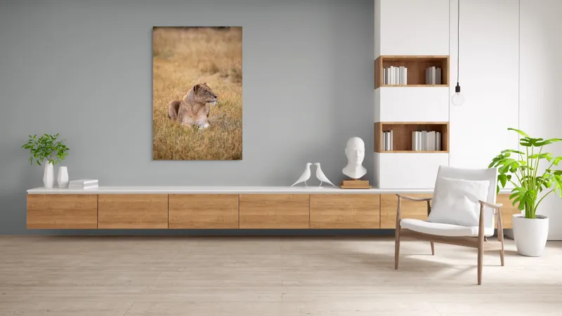 Tablou Canvas, "Leoaica odihnindu-se în savana africană", Leoaică, Relaxează, Savana, Vegetație, Calmă, Regală, Pânditoare, Serenitate, Natură, 100 x 150 cm – poza 8