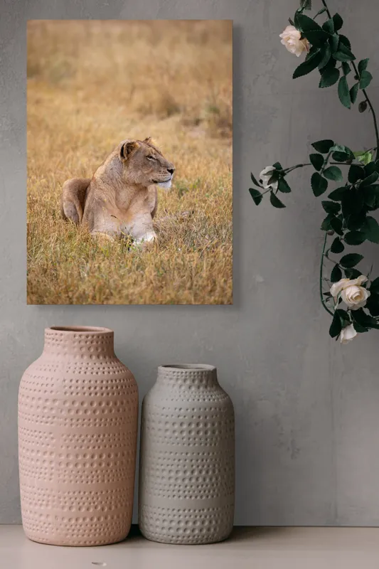 Tablou Canvas, "Leoaica odihnindu-se în savana africană", Leoaică, Relaxează, Savana, Vegetație, Calmă, Regală, Pânditoare, Serenitate, Natură, 39 x 54 cm – poza 6