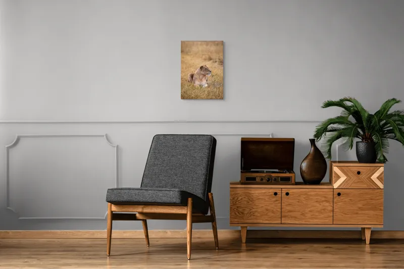 Tablou Canvas, "Leoaica odihnindu-se în savana africană", Leoaică, Relaxează, Savana, Vegetație, Calmă, Regală, Pânditoare, Serenitate, Natură, 39 x 54 cm – poza 8