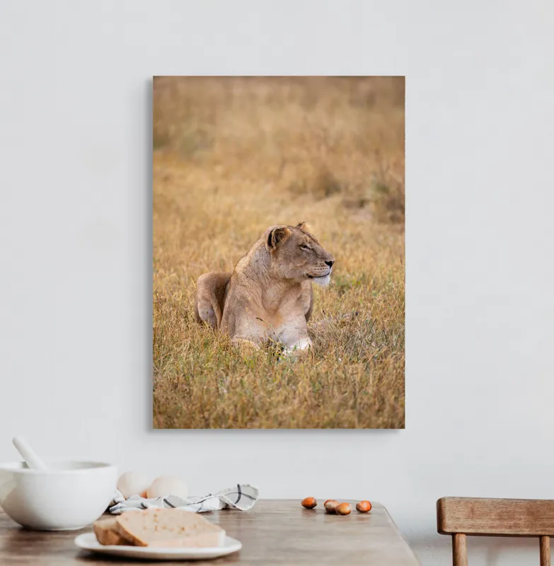Tablou Canvas, "Leoaica odihnindu-se în savana africană", Leoaică, Relaxează, Savana, Vegetație, Calmă, Regală, Pânditoare, Serenitate, Natură, 50 x 70 cm – poza 3