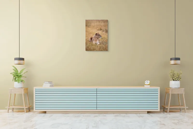 Tablou Canvas, "Leoaica odihnindu-se în savana africană", Leoaică, Relaxează, Savana, Vegetație, Calmă, Regală, Pânditoare, Serenitate, Natură, 50 x 70 cm – poza 6