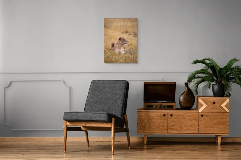 Tablou Canvas, "Leoaica odihnindu-se în savana africană", Leoaică, Relaxează, Savana, Vegetație, Calmă, Regală, Pânditoare, Serenitate, Natură, 50 x 70 cm – poza 8