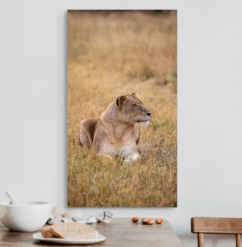 Tablou Canvas, "Leoaica odihnindu-se în savana africană", Leoaică, Relaxează, Savana, Vegetație, Calmă, Regală, Pânditoare, Serenitate, Natură, 50 x 90 cm – poza 3