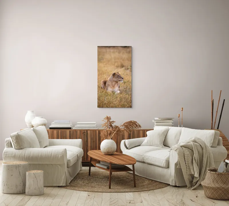 Tablou Canvas, "Leoaica odihnindu-se în savana africană", Leoaică, Relaxează, Savana, Vegetație, Calmă, Regală, Pânditoare, Serenitate, Natură, 50 x 90 cm – poza 7