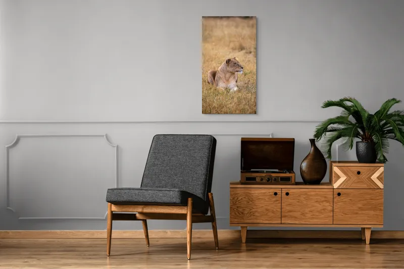 Tablou Canvas, "Leoaica odihnindu-se în savana africană", Leoaică, Relaxează, Savana, Vegetație, Calmă, Regală, Pânditoare, Serenitate, Natură, 50 x 90 cm – poza 8