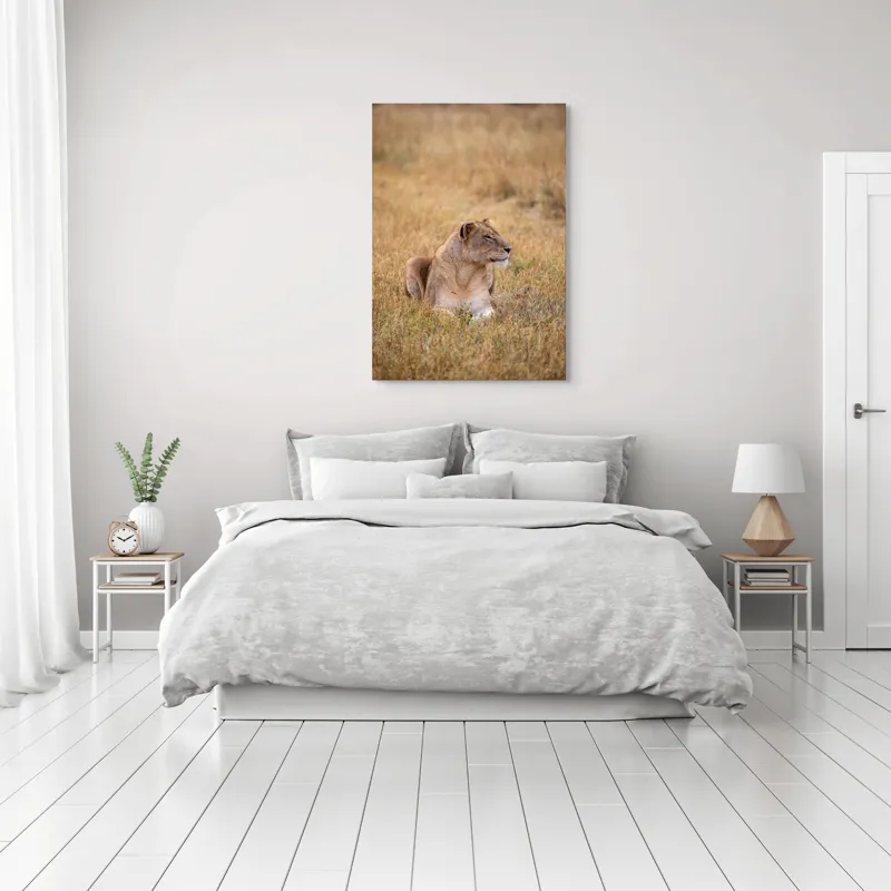 Tablou Canvas, "Leoaica odihnindu-se în savana africană", Leoaică, Relaxează, Savana, Vegetație, Calmă, Regală, Pânditoare, Serenitate, Natură, 70 x 100 cm – poza 3