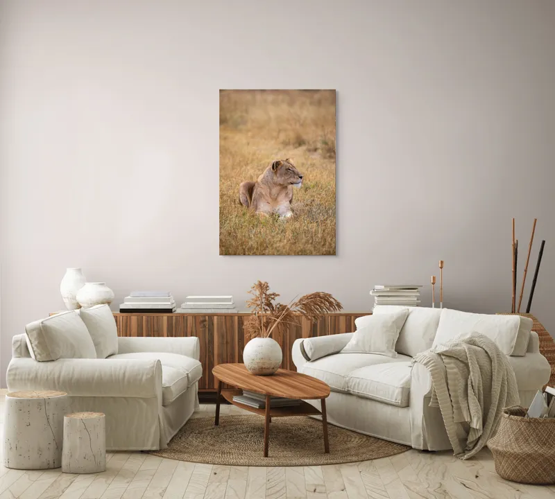 Tablou Canvas, "Leoaica odihnindu-se în savana africană", Leoaică, Relaxează, Savana, Vegetație, Calmă, Regală, Pânditoare, Serenitate, Natură, 70 x 100 cm – poza 4