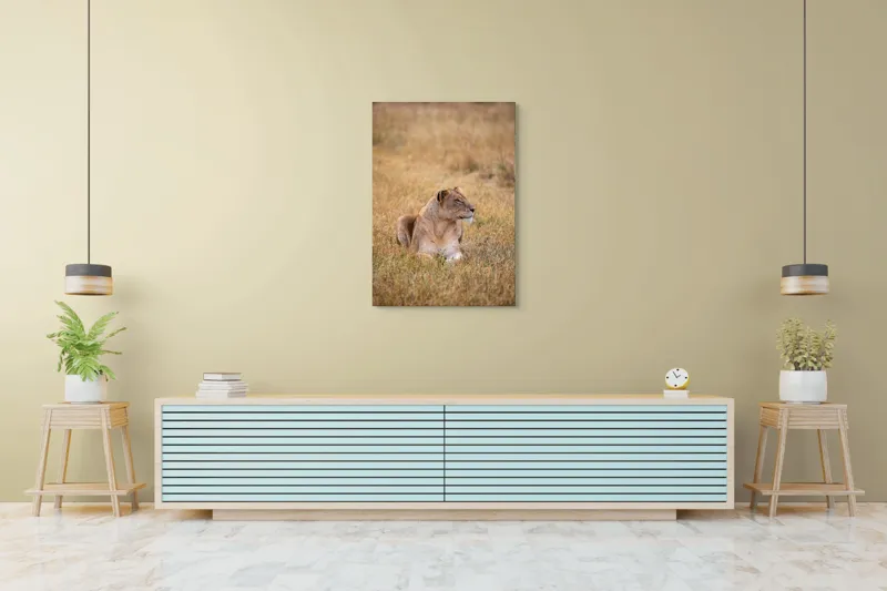 Tablou Canvas, "Leoaica odihnindu-se în savana africană", Leoaică, Relaxează, Savana, Vegetație, Calmă, Regală, Pânditoare, Serenitate, Natură, 70 x 100 cm – poza 5