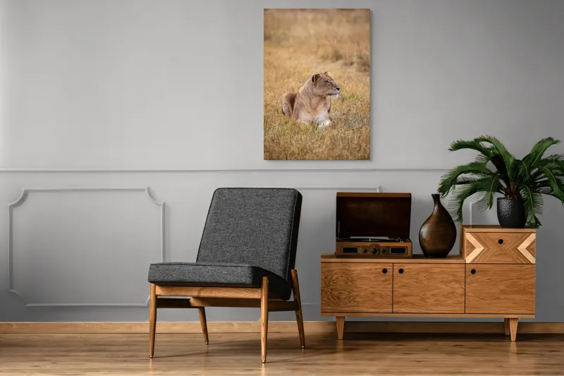 Tablou Canvas, "Leoaica odihnindu-se în savana africană", Leoaică, Relaxează, Savana, Vegetație, Calmă, Regală, Pânditoare, Serenitate, Natură, 70 x 100 cm – poza 6