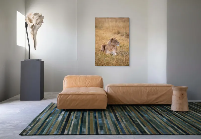 Tablou Canvas, "Leoaica odihnindu-se în savana africană", Leoaică, Relaxează, Savana, Vegetație, Calmă, Regală, Pânditoare, Serenitate, Natură, 70 x 100 cm – poza 7