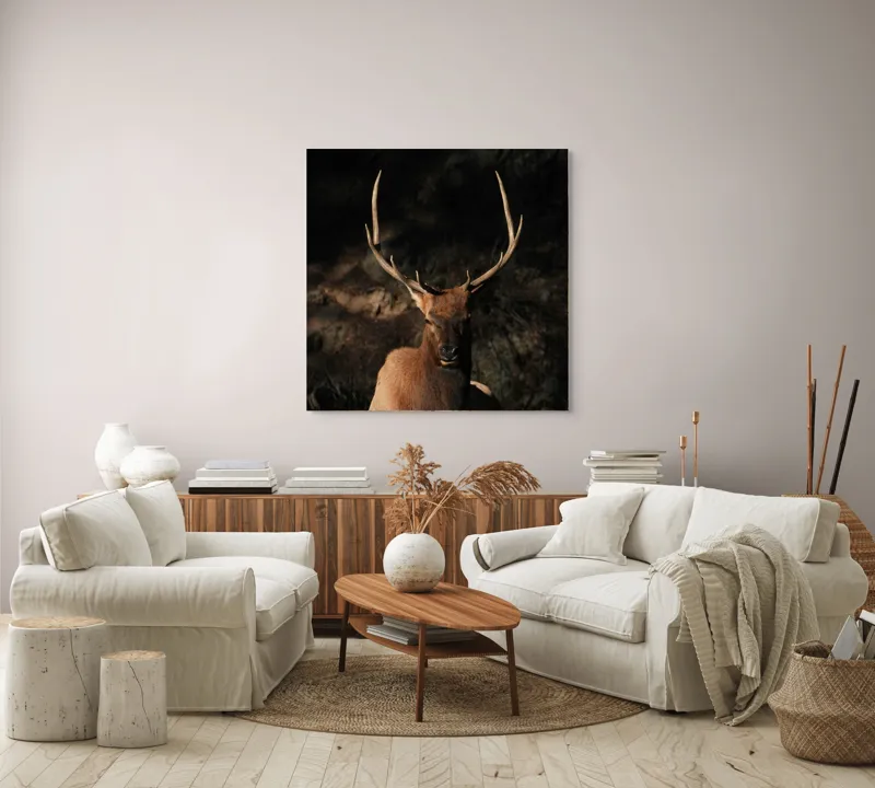 Tablou Canvas, "Cerbul în lumina apusului de toamnă", Elan, Majestuos, Pădure, Umbre, Coarne, Vedere, Natură, Sălbatic., 100 x 100 cm – poza 3