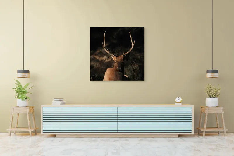 Tablou Canvas, "Cerbul în lumina apusului de toamnă", Elan, Majestuos, Pădure, Umbre, Coarne, Vedere, Natură, Sălbatic., 100 x 100 cm – poza 5