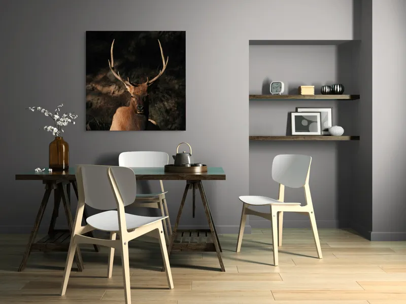 Tablou Canvas, "Cerbul în lumina apusului de toamnă", Elan, Majestuos, Pădure, Umbre, Coarne, Vedere, Natură, Sălbatic., 100 x 100 cm – poza 6