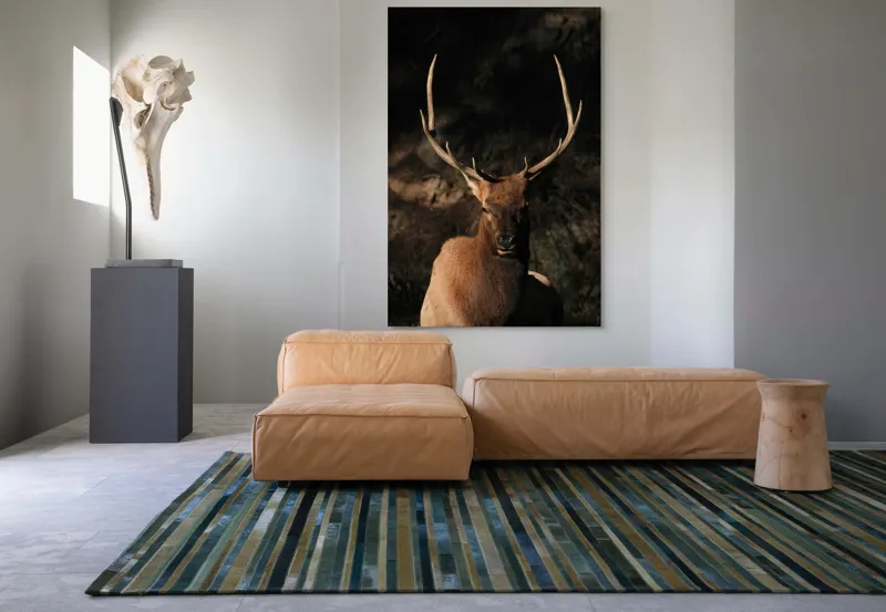 Tablou Canvas, "Cerbul în lumina apusului de toamnă", Elan, Majestuos, Pădure, Umbre, Coarne, Vedere, Natură, Sălbatic., 100 x 150 cm – poza 7
