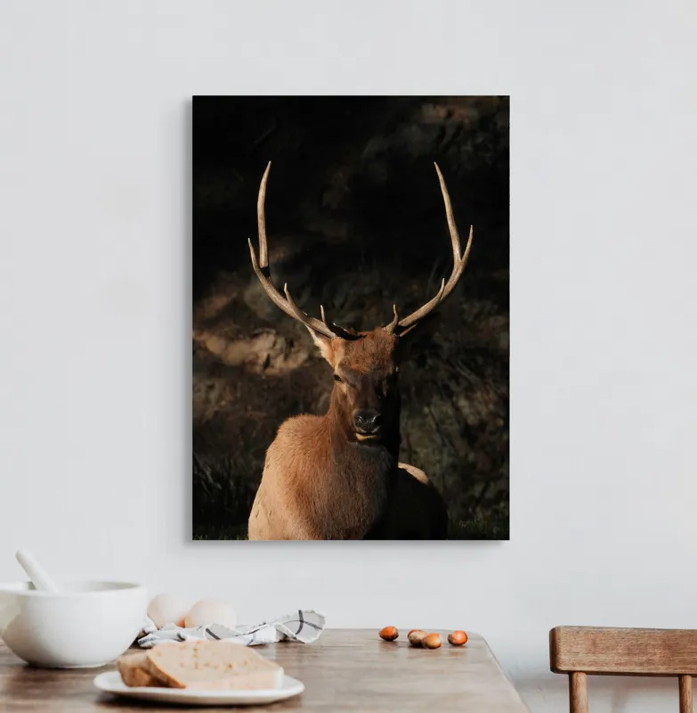Tablou Canvas, "Cerbul în lumina apusului de toamnă", Elan, Majestuos, Pădure, Umbre, Coarne, Vedere, Natură, Sălbatic., 50 x 70 cm – poza 3