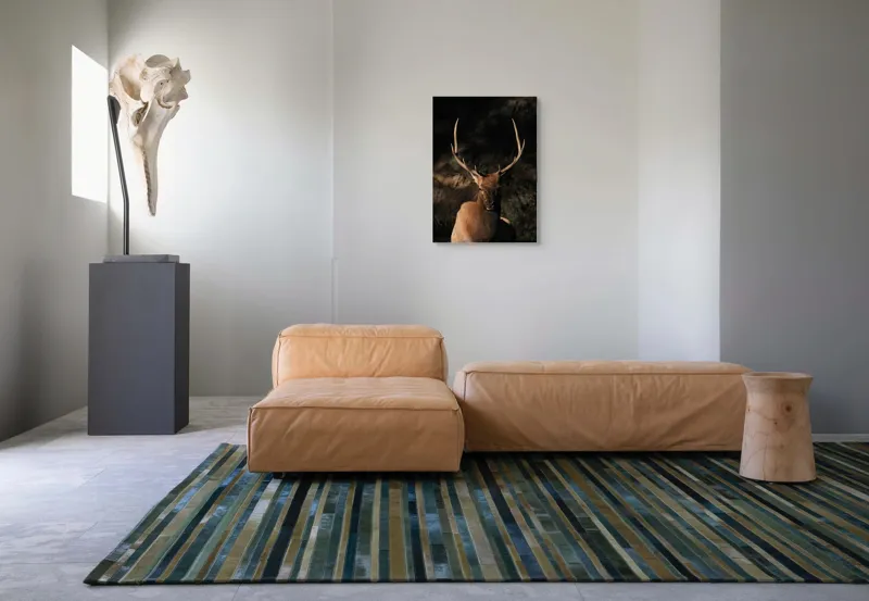 Tablou Canvas, "Cerbul în lumina apusului de toamnă", Elan, Majestuos, Pădure, Umbre, Coarne, Vedere, Natură, Sălbatic., 50 x 70 cm – poza 7