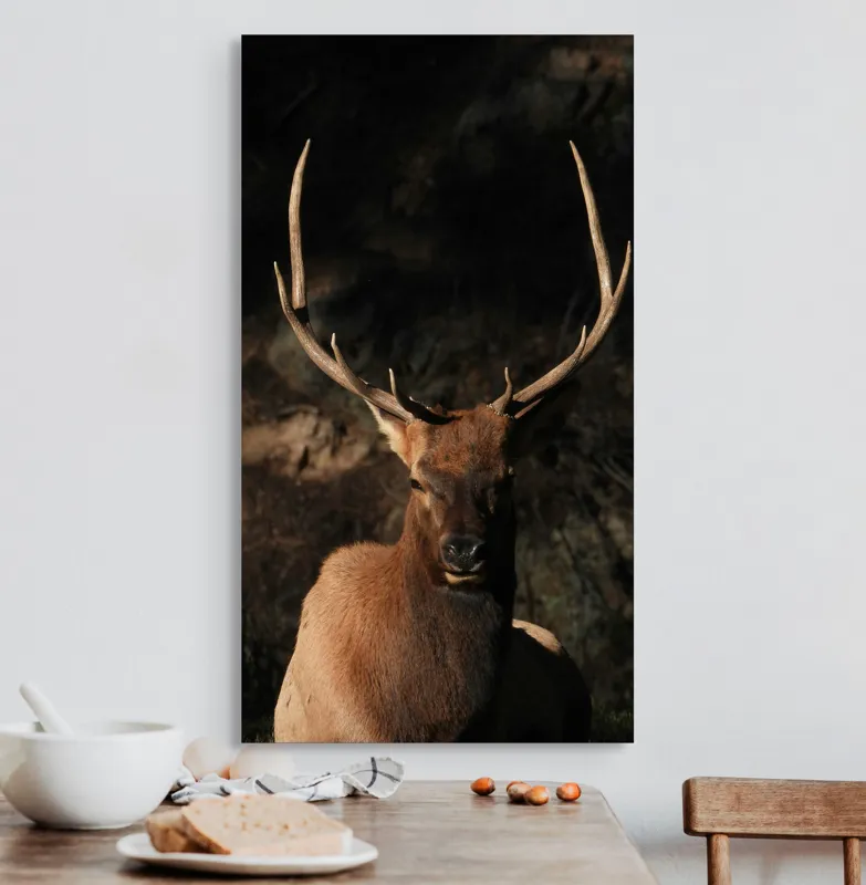 Tablou Canvas, "Cerbul în lumina apusului de toamnă", Elan, Majestuos, Pădure, Umbre, Coarne, Vedere, Natură, Sălbatic., 50 x 90 cm – poza 3