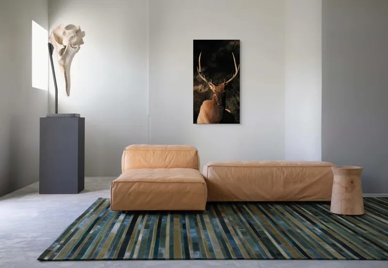 Tablou Canvas, "Cerbul în lumina apusului de toamnă", Elan, Majestuos, Pădure, Umbre, Coarne, Vedere, Natură, Sălbatic., 50 x 90 cm – poza 5