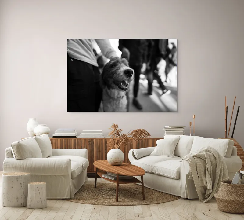 Tablou Canvas, "Câine fericit în aglomerație urbană", Câine, Prietenie, Zâmbet, Alb-Negru, Mulțime, Blană, Bucrie, Stradă, 150 x 100 cm – poza 3