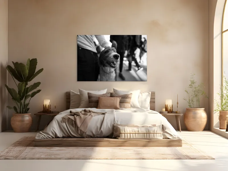 Tablou Canvas, "Câine fericit în aglomerație urbană", Câine, Prietenie, Zâmbet, Alb-Negru, Mulțime, Blană, Bucrie, Stradă, 150 x 100 cm – poza 4