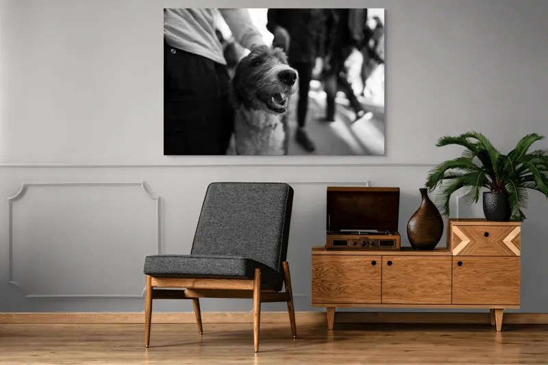 Tablou Canvas, "Câine fericit în aglomerație urbană", Câine, Prietenie, Zâmbet, Alb-Negru, Mulțime, Blană, Bucrie, Stradă, 150 x 100 cm – poza 8