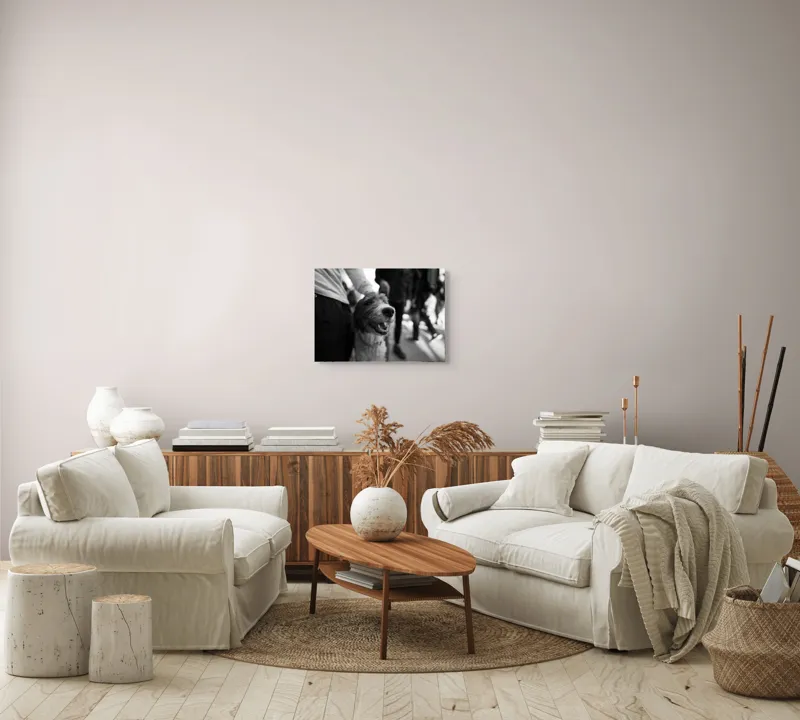 Tablou Canvas, "Câine fericit în aglomerație urbană", Câine, Prietenie, Zâmbet, Alb-Negru, Mulțime, Blană, Bucrie, Stradă, 54 x 39 cm – poza 5