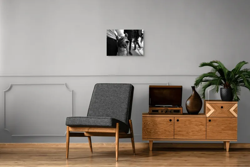 Tablou Canvas, "Câine fericit în aglomerație urbană", Câine, Prietenie, Zâmbet, Alb-Negru, Mulțime, Blană, Bucrie, Stradă, 54 x 39 cm – poza 7