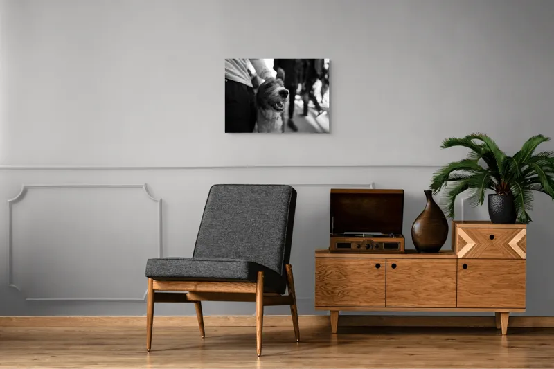 Tablou Canvas, "Câine fericit în aglomerație urbană", Câine, Prietenie, Zâmbet, Alb-Negru, Mulțime, Blană, Bucrie, Stradă, 70 x 50 cm – poza 4