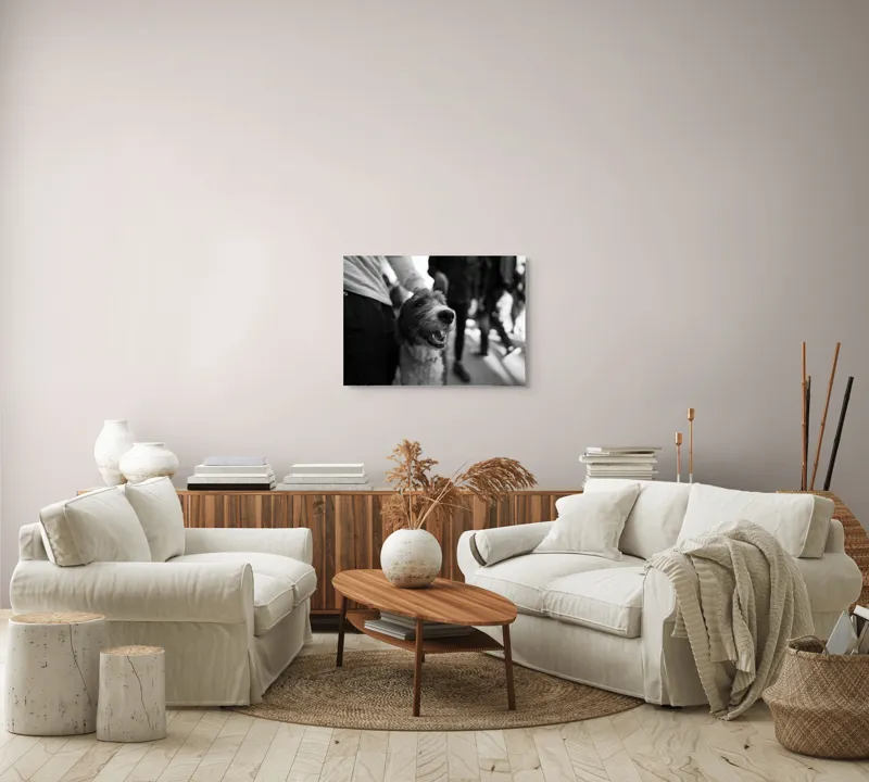Tablou Canvas, "Câine fericit în aglomerație urbană", Câine, Prietenie, Zâmbet, Alb-Negru, Mulțime, Blană, Bucrie, Stradă, 70 x 50 cm – poza 6