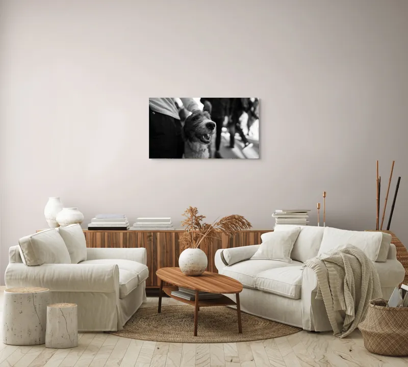 Tablou Canvas, "Câine fericit în aglomerație urbană", Câine, Prietenie, Zâmbet, Alb-Negru, Mulțime, Blană, Bucrie, Stradă, 90 x 50 cm – poza 4