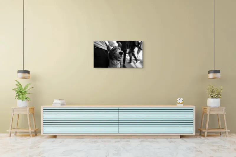 Tablou Canvas, "Câine fericit în aglomerație urbană", Câine, Prietenie, Zâmbet, Alb-Negru, Mulțime, Blană, Bucrie, Stradă, 90 x 50 cm – poza 5
