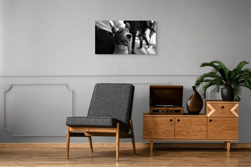 Tablou Canvas, "Câine fericit în aglomerație urbană", Câine, Prietenie, Zâmbet, Alb-Negru, Mulțime, Blană, Bucrie, Stradă, 90 x 50 cm – poza 6