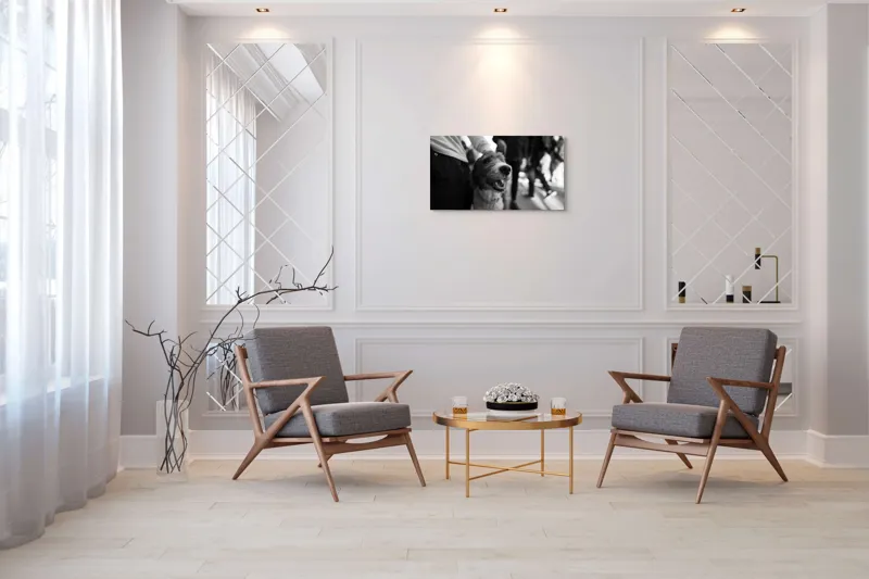 Tablou Canvas, "Câine fericit în aglomerație urbană", Câine, Prietenie, Zâmbet, Alb-Negru, Mulțime, Blană, Bucrie, Stradă, 90 x 50 cm – poza 7