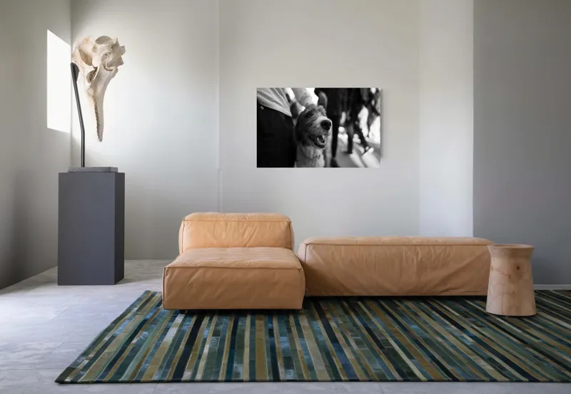 Tablou Canvas, "Câine fericit în aglomerație urbană", Câine, Prietenie, Zâmbet, Alb-Negru, Mulțime, Blană, Bucrie, Stradă, 90 x 50 cm – poza 8