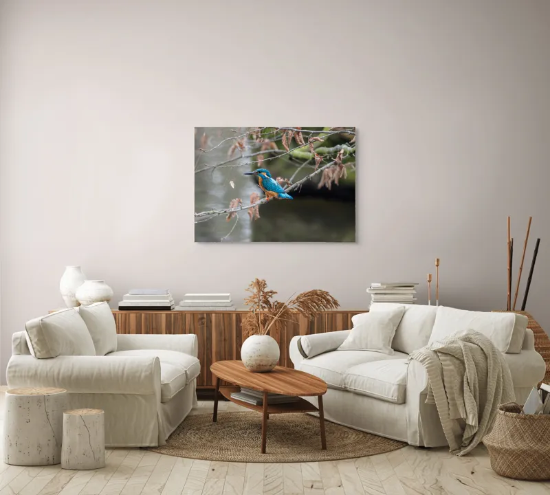 Tablou Canvas, "Pescăraș albastru pe ramură toamna", Păsăre, Ramură, Pene, Albastre, Toamnă, Natură, Tăcut, Fin, Elegant, Observant., 100 x 70 cm – poza 3